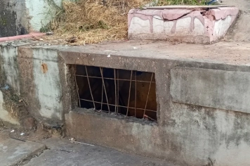 Furto de registros causa vazamento em estrutura do SAAE no Bom Jesus 