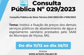 Consulta Pública nº 029/2023