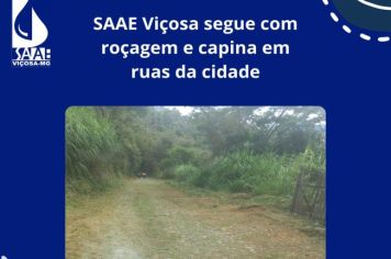 SAAE Viçosa segue com roçagem e capina em ruas da cidade